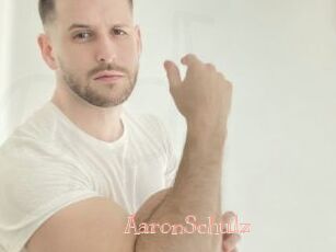 AaronSchulz