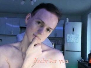 Andy_for_you