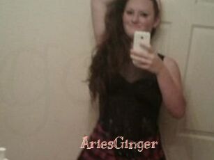 AriesGinger