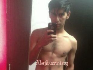 Alejburning