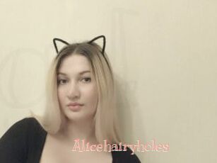 Alicehairyholes