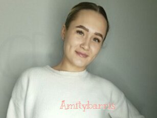 Amitybarris