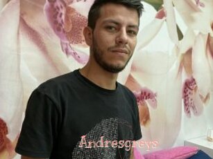 Andresgreys