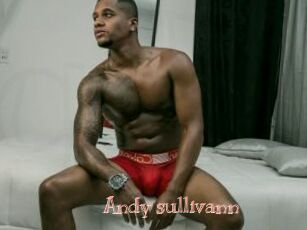 Andy_sullivann