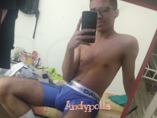 Andypolla