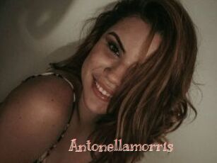 Antonellamorris