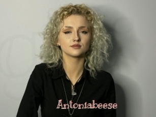 Antoniabeese