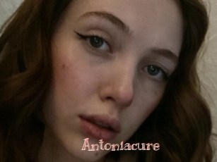 Antoniacure