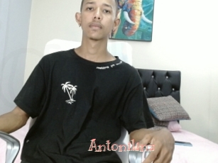 Antonilinz