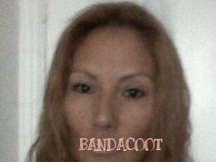 BANDACOOT