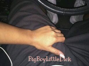 BigBoyLittleDick