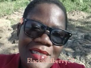 Blackwildberry33