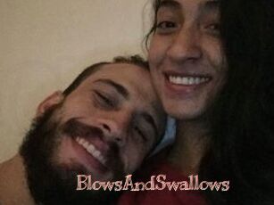 BlowsAndSwallows