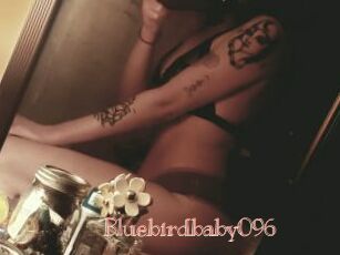 Bluebirdbaby096