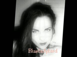 Blueladybird