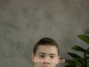 BredCollins