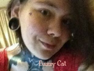 Buzzy_Cat