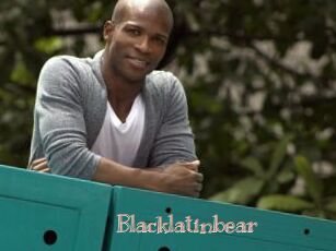 Blacklatinbear