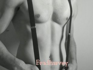 Bradharvey