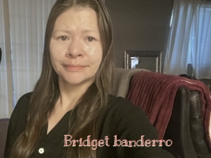 Bridget_banderro