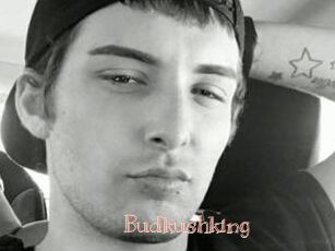 Budkushking