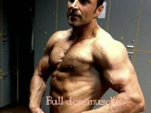 Bull_dosemuscles