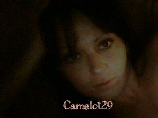 Camelot29