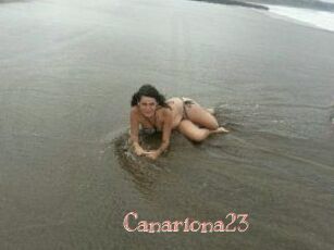 Canariona23