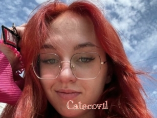 Catecovil