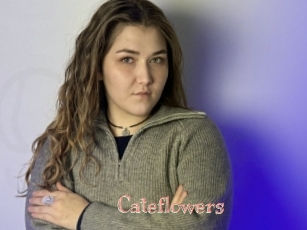 Cateflowers