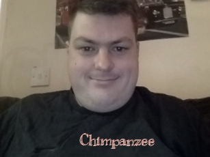 Chimpanzee