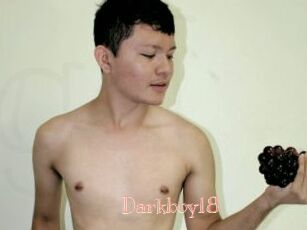 Darkboy18