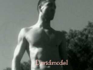 Davidmodel