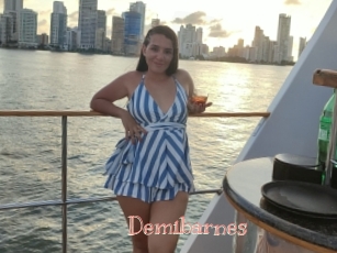 Demibarnes