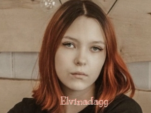 Elvinadagg