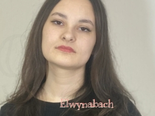 Elwynabach