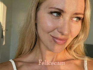 Felicecam