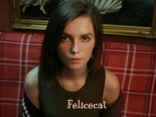 Felicecat