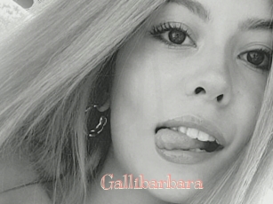 Gallibarbara