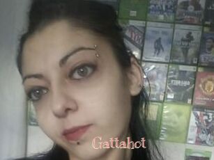 Gattahot