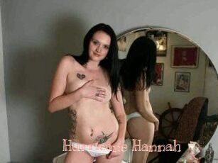 Hurricane_Hannah