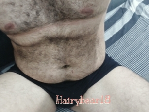 Hairybear18