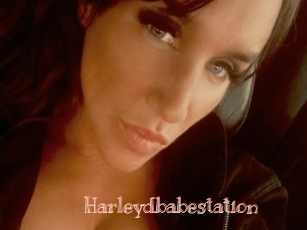 Harleydbabestation