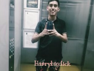 Harrybigdick