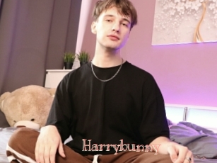 Harrybunny