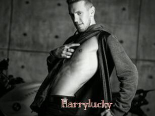 Harrylucky