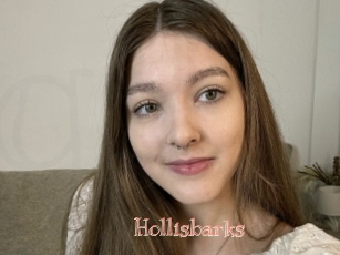 Hollisbarks