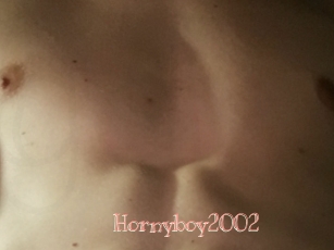 Hornyboy2002