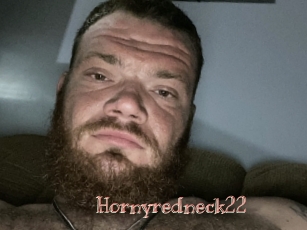 Hornyredneck22