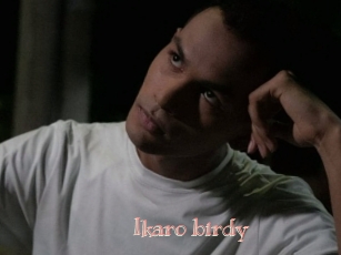 Ikaro_birdy